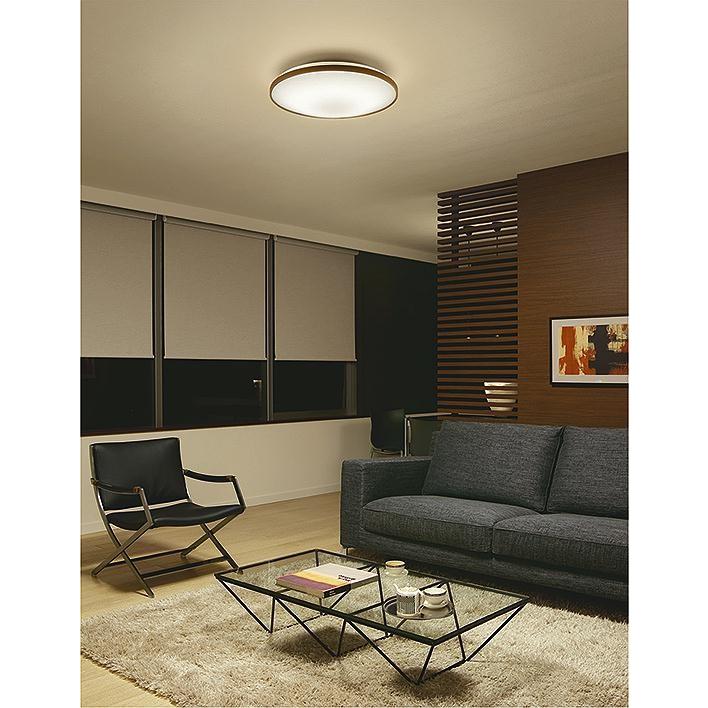 DAIKO LEDシーリングライト DCL-39217E 10畳 口径690