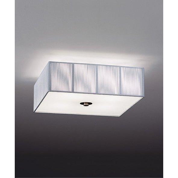 遠藤照明　ペンダントライト ENDO 遠藤照明 LEDシーリングライト(ランプ別売) ERG5259SB