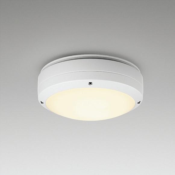 遠藤照明 ERG5468WC 軒下用シーリングライト 白 2灯用 ランプ別売