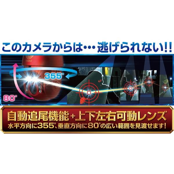 屋外用 Wi-Fi 防犯カメラ ダイビーボットアイ GS-DVYPTZ-101 監視