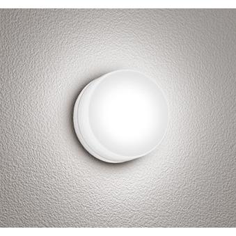ODELIC（オーデリック） OG254819R 浴室灯 LED(昼白色) (OG254819 代替