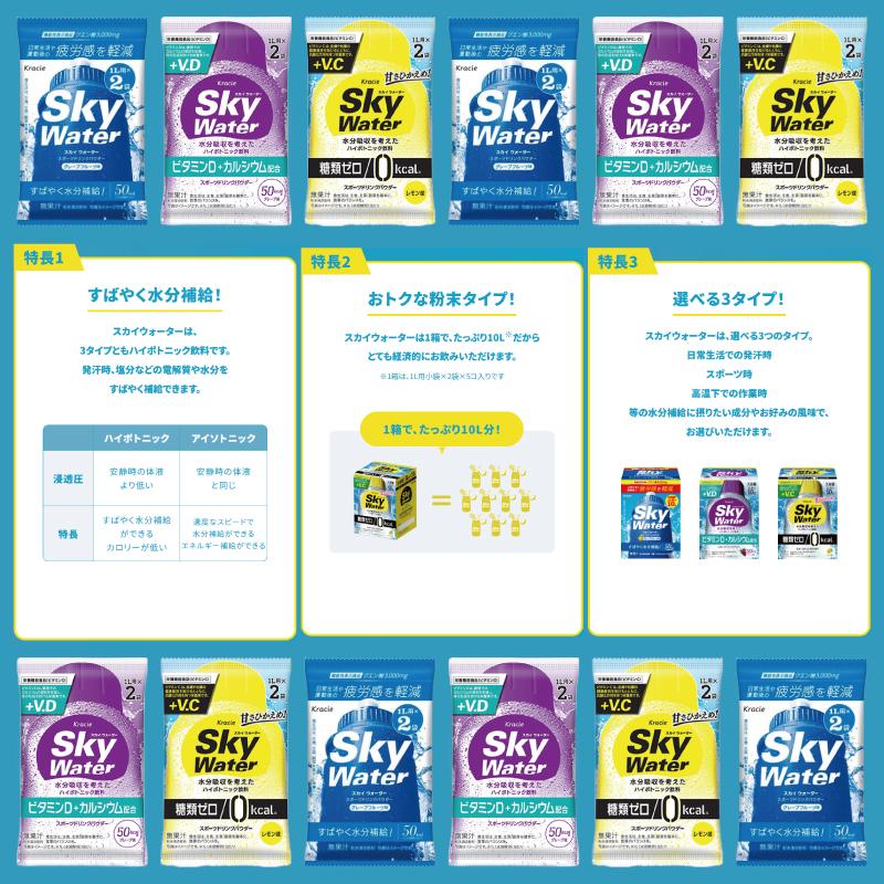 スカイウォーター クラシエ 粉末ドリンク 組み合わせ選べる6箱（計30袋