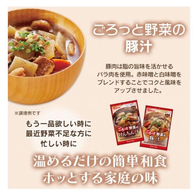 国内外の人気が集結 アイリスフーズ 豚汁 けんちん汁 500g 選べる６袋 レトルトパウチ 送料無料 沖縄 離島除く Printx Nl