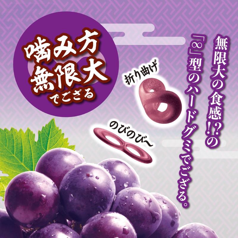 忍者めし UHA味覚糖 鋼 45g 2種各5袋セット（計10袋） 【グレープ味