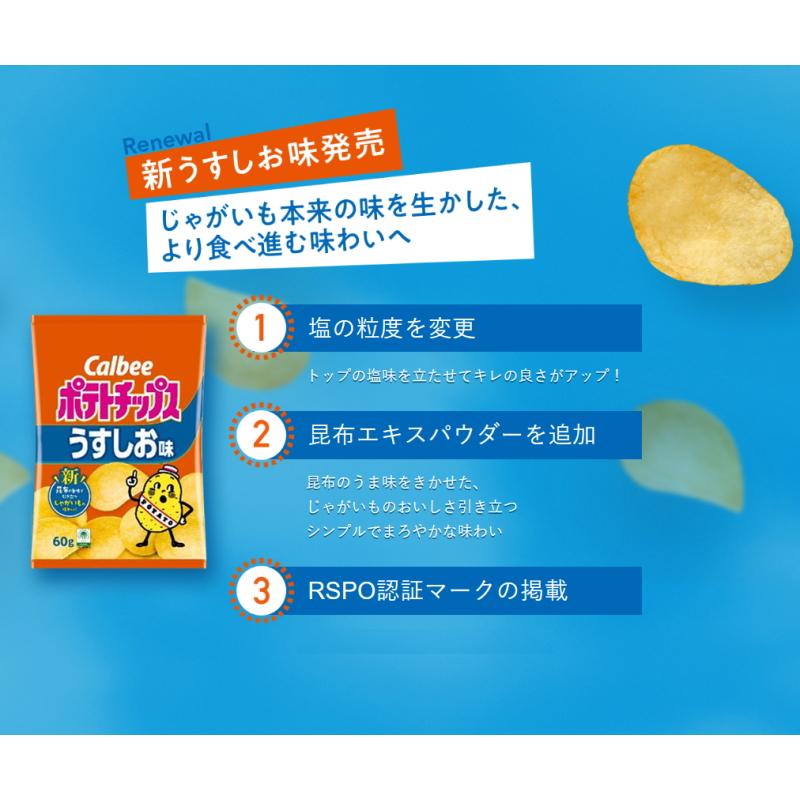 カルビー（Calbee） ポテトチップス BIGBAG(ビッグバッグ) 160g うすし