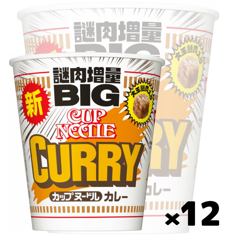 カップヌードル 日清 カレー BIG 1ケース （12個） ビッグ カップ麺