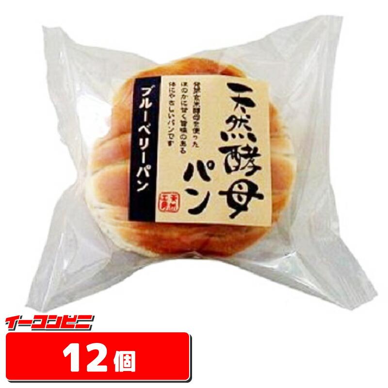 天然酵母 ソフトパン ロングライフパン ブルーベリー ミルク マロン 天然酵母パン ブルーベリーパン | オーケーネットスーパー 食料品