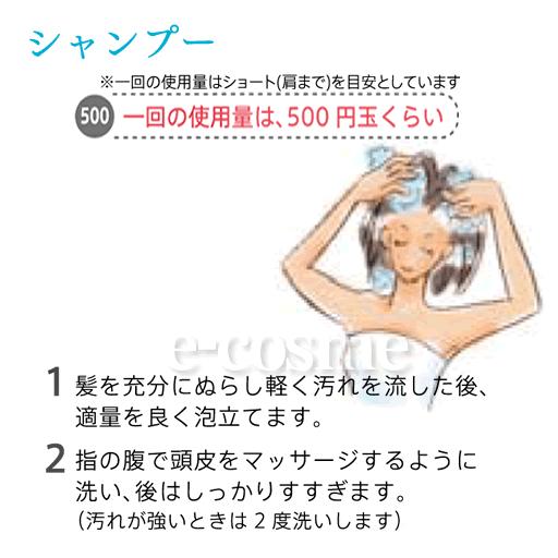 シャンプー 1000ml |  | 01