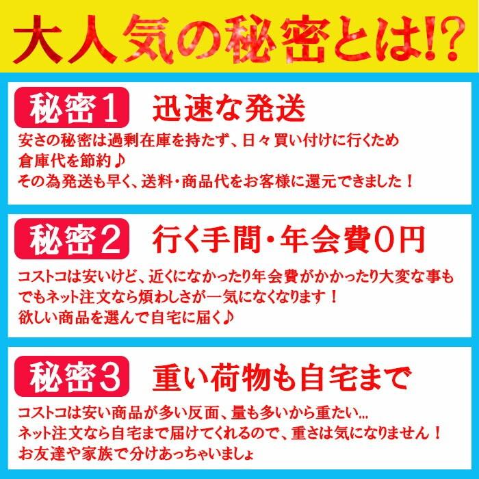 MICHELIN ミシュラン 電動空気入れ TOP-UP MINI コストコ 楽天市場】【在庫限り】【COSTCO】コストコ Michelin(ミシュラン