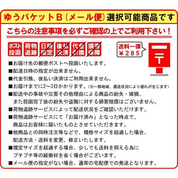 カランダッシュ 万年筆 849 レッド クリスマス限定 ギフトセット 【ゆうパケットB選択可】｜e-daido｜05