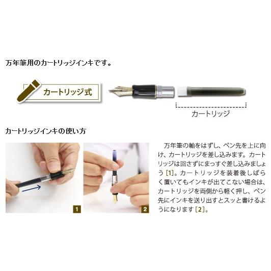 PILOT（パイロット） インクカートリッジ 万年筆用 12本入 (IRF-12S