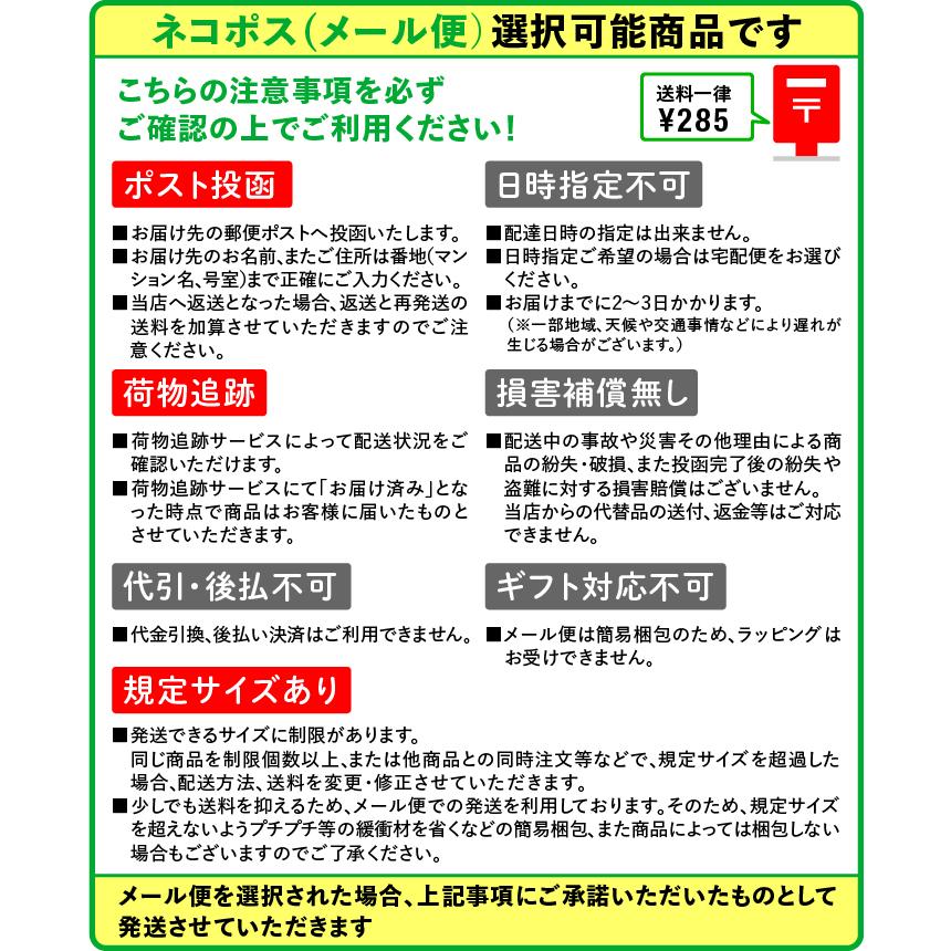 PILOT（パイロット） 水性サインペン Vペン 中字 万年筆風 10本入 (黒