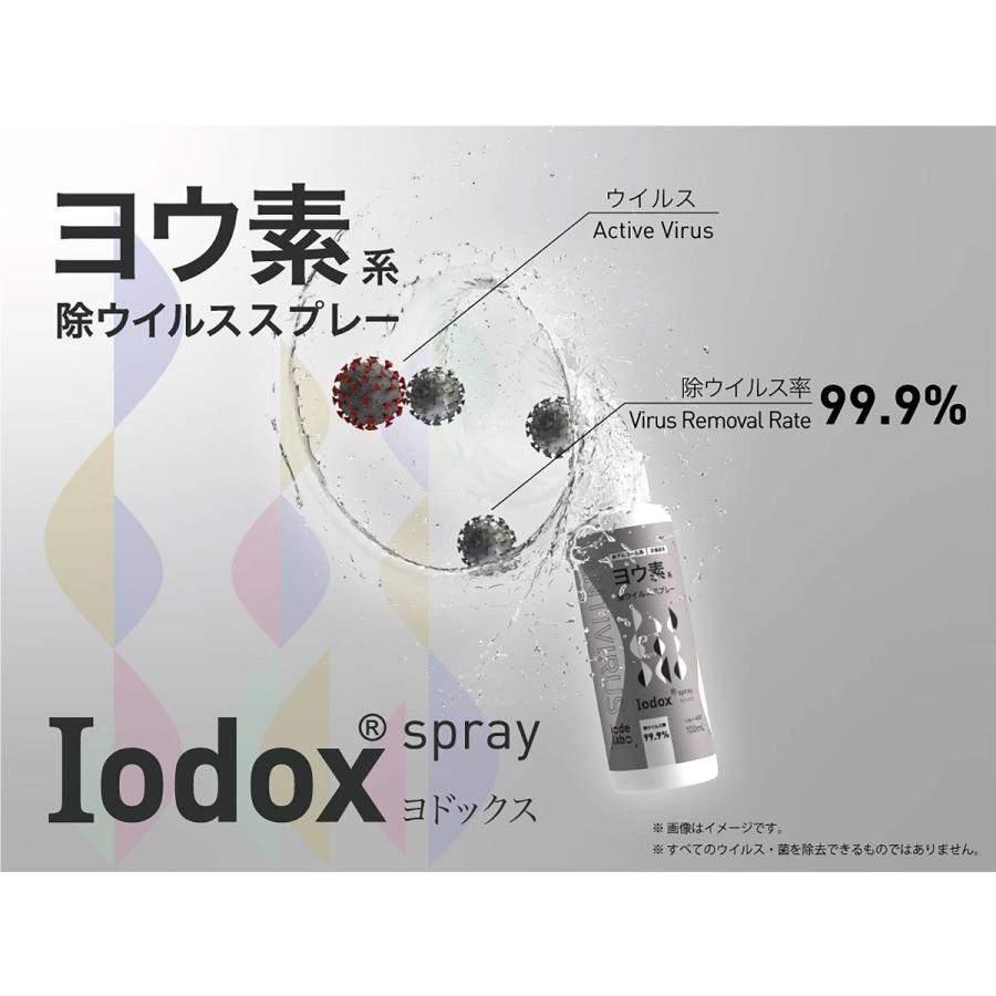 ヨウ素系 除ウイルス液 Iodox ヨドックス 業務用 10L 家庭化学 除ウイルス 99.9％ 除菌 防カビ 消臭 消臭剤 非アルコール ...