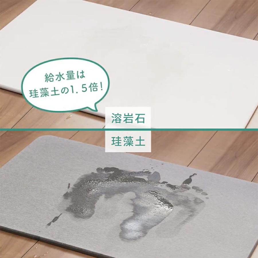 アサヒペン バスマット 溶岩石バスマット ハードタイプ ホワイト アサヒペン バスマット 溶岩石バスマット ハードタイプ ホワイト