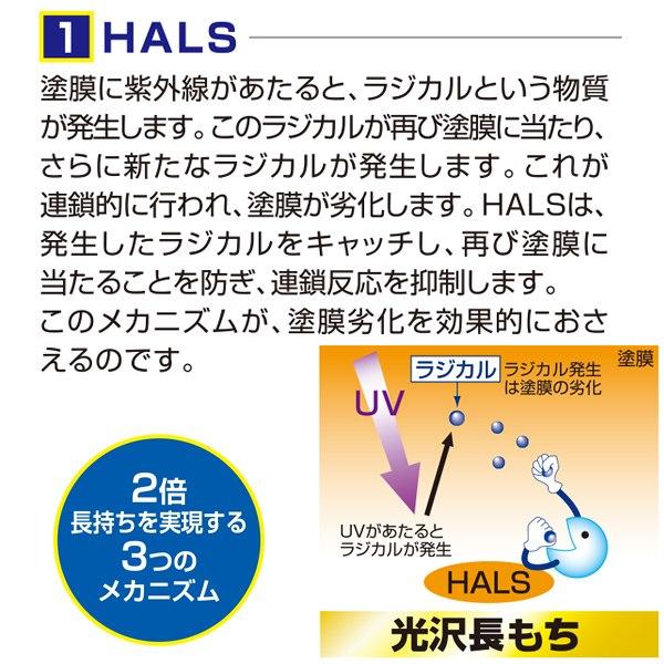 アサヒペン 塗料 水性スーパーコート 5L こげ茶 水性塗料 ペンキ アサヒペン 塗料 水性スーパーコート 5L こげ茶 水性塗料 ペンキ
