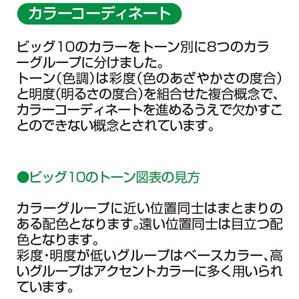 水性ビッグ10 多用途 1/5L 白 アサヒペン 超耐久 無臭 強力カビどめ剤配合 強力サビどめ剤配合 水性塗料｜e-daiku｜11