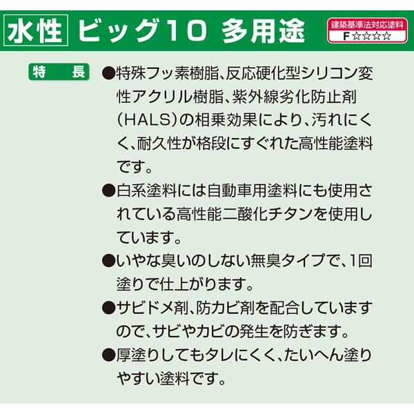 水性ビッグ10 多用途 5L アイボリー アサヒペン 超耐久 無臭 強力カビどめ剤配合 強力サビどめ剤配合 水性塗料｜e-daiku｜04