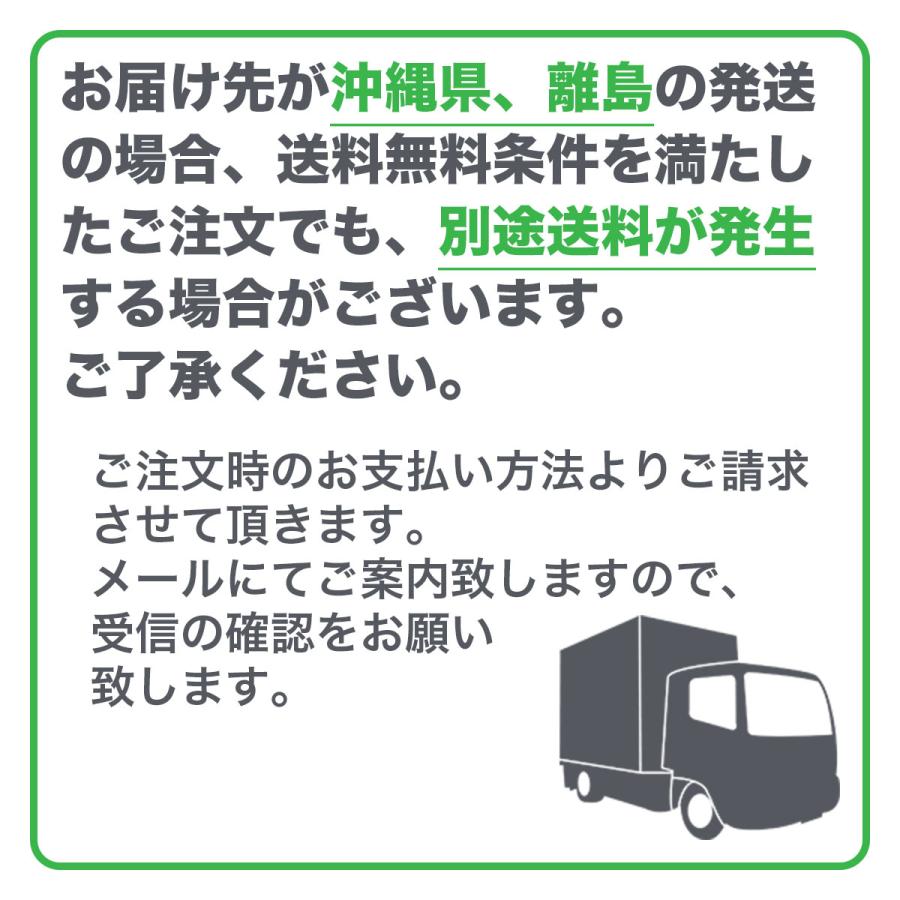 水性ビッグ10 多用途 10L 黒 アサヒペン 超耐久 無臭 強力カビどめ剤配合 強力サビどめ剤配合 水性塗料｜e-daiku｜15