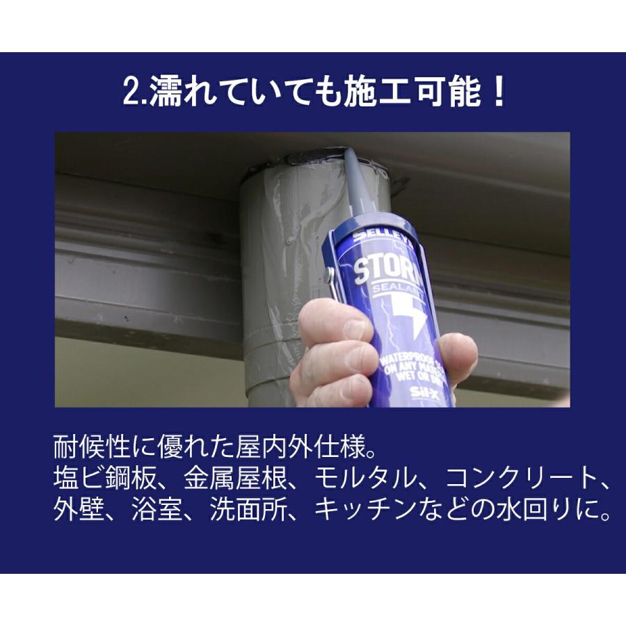 STORM クリアーストーム STROM詳細ページ|ニッペホームオンライン
