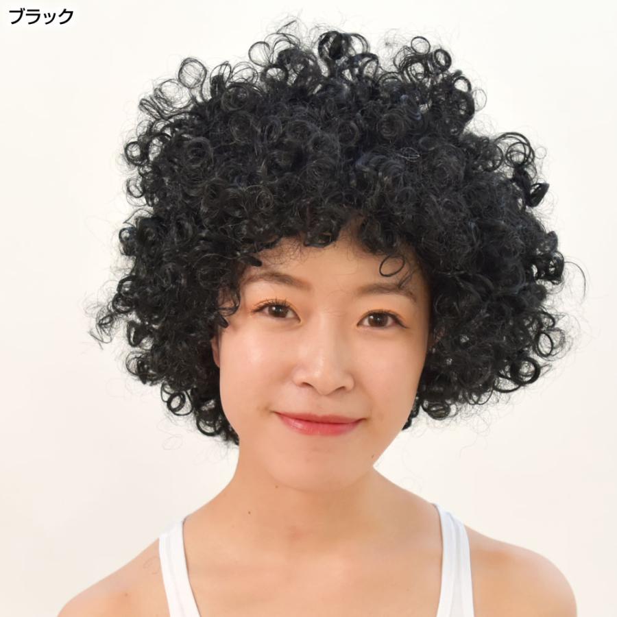 ダンス衣装 アクセサリー アフロWIG ウィッグ ショート ダンス アフロ かつら 毛量160g アフロ ウィッグ ダンス コスチューム ダンス MA47129｜e-dance-fitness｜24