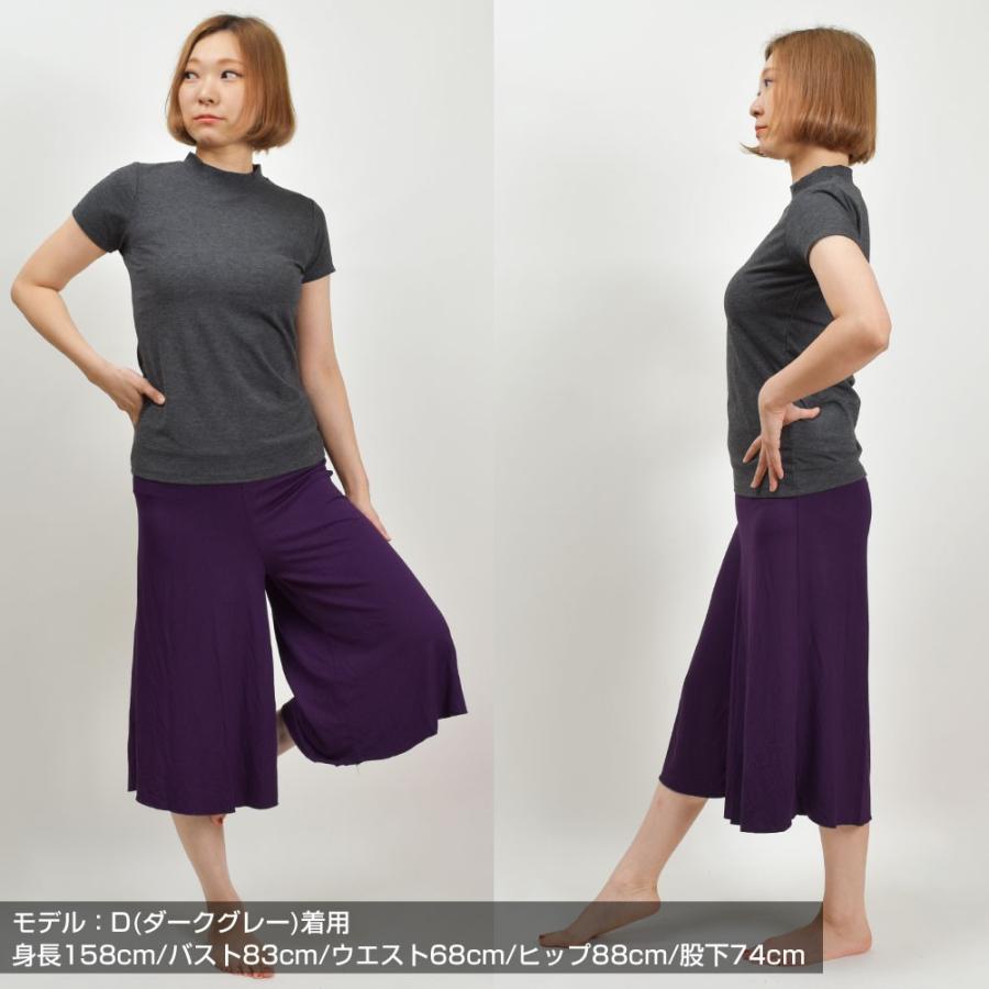 洋服タンスとトウのつい立て ダンス 衣装 トップス ハイネックTシャツ カットソー ベーシック