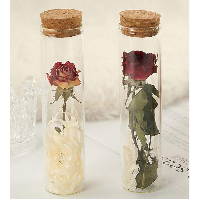 送料無料 プリザーブドフラワー 5本セット 5本入 永遠の花 永生花 枯れ