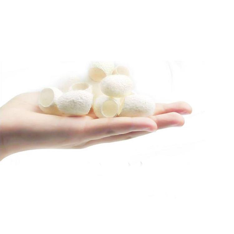 天然　繭玉500ｇ⑩ 天然 繭玉500g⑩ 楽天市場】＼スーパーSALE限定価格／ 絹肌玉