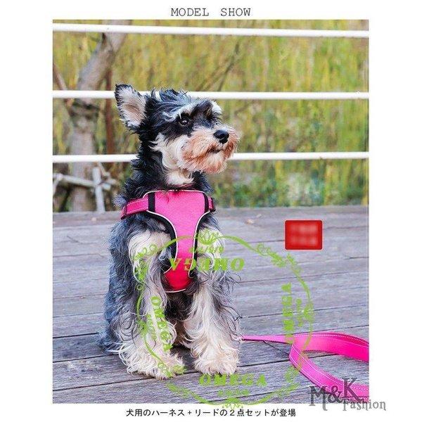 ペット ハーネス リード ２点セット ドッグウェア 胴輪 犬用 犬服 お洒落 シンプル ペット用品 セットアップ｜e-den｜04