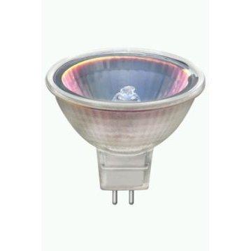 岩崎電気 ケース販売特価10個セット アイ ダイクロクールハロゲン plus