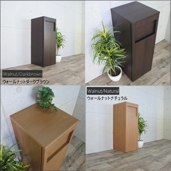 ゴミ箱 45リットル おしゃれ 完成品 スリム 大容量 フタ付き 袋が見え