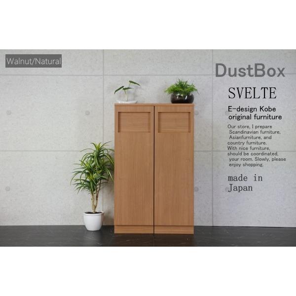 ゴミ箱 おしゃれ キッチン 45リットル スリム ゴミ箱 分別 オフィス