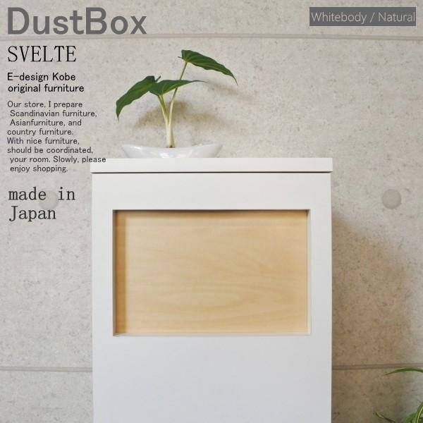 【SVELTE】45L 蓋つき　ゴミ箱（ダストBOX）　ウィザーパイン/ディープ ゴミ箱 おしゃれ キッチン 45リットル スリム ゴミ箱 分別
