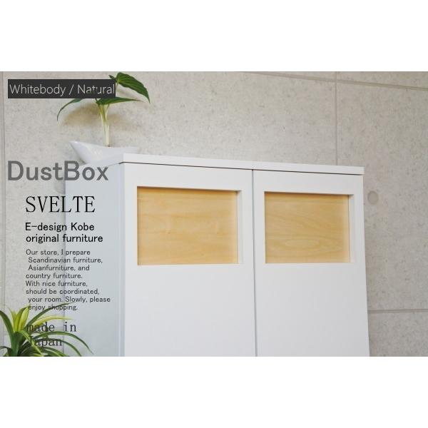 ゴミ箱 おしゃれ キッチン 45リットル スリム ゴミ箱 分別 オフィス