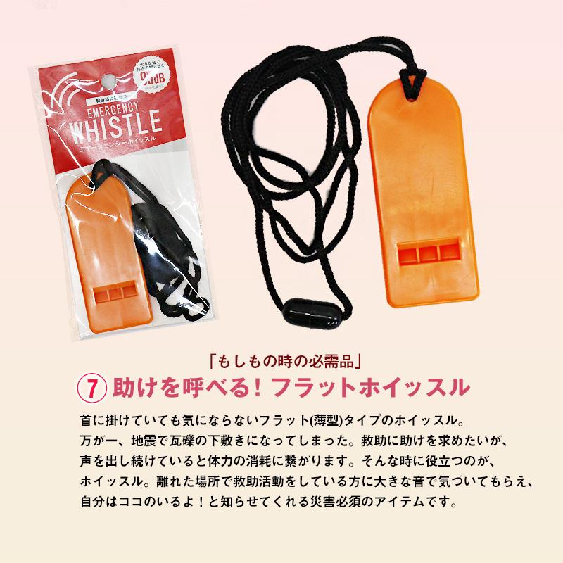 防災 防災セット 20点 1人用 防災士監修 防災グッズ ミニトランク 防災