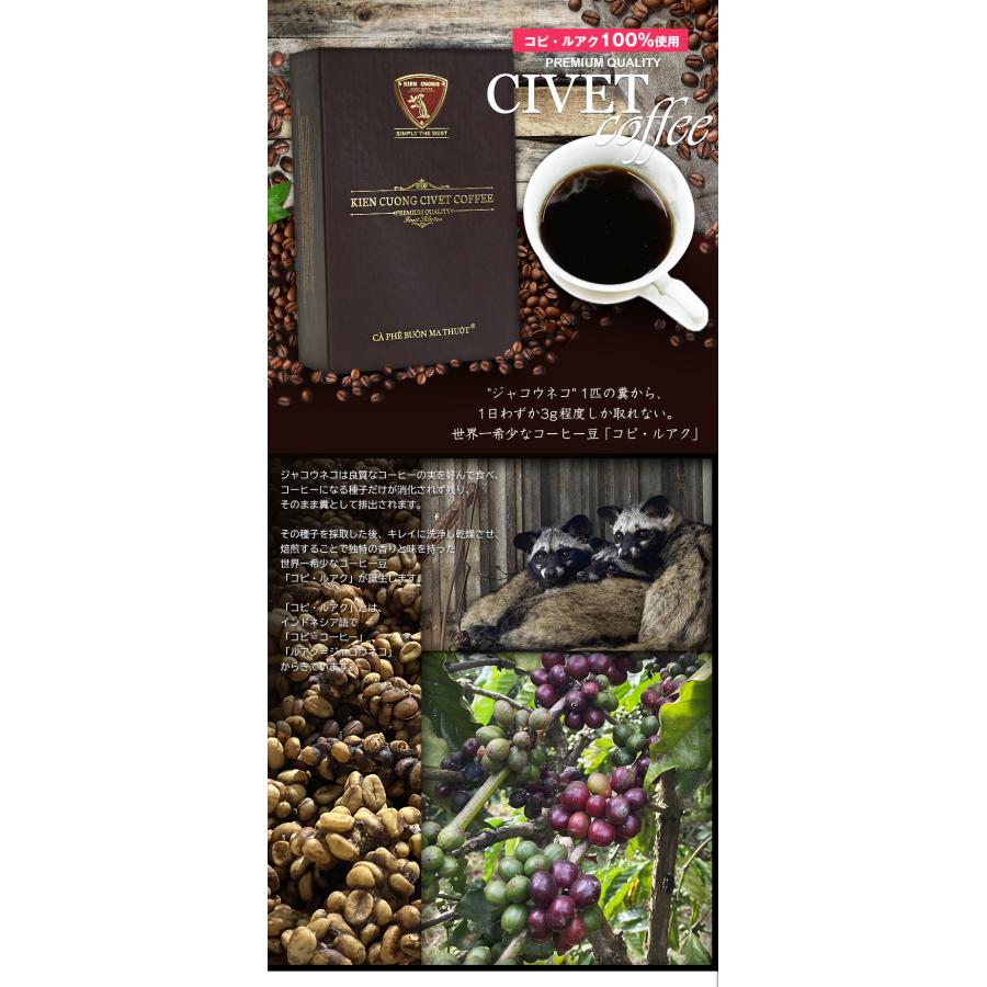 ジャコウネココーヒー シベットコーヒー コピルアク 100 ジャコウネココーヒー シベットコーヒー コピルアク 100