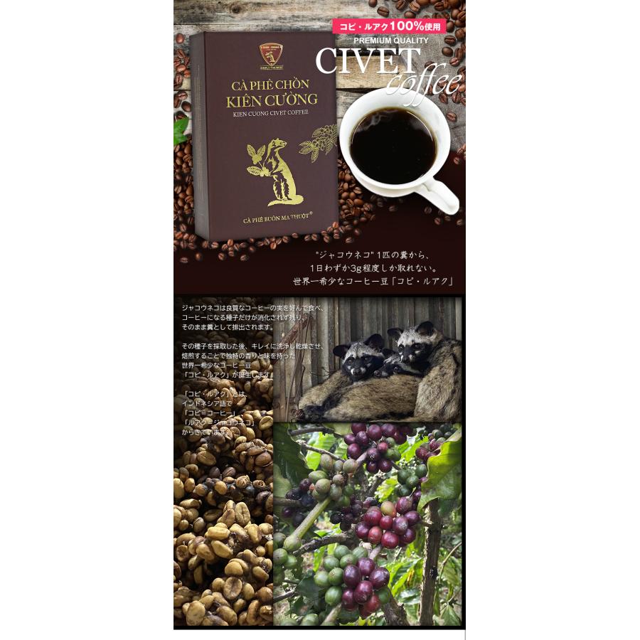 ジャコウネココーヒー シベットコーヒー コピルアク 100 ジャコウネココーヒー シベットコーヒー コピルアク 100