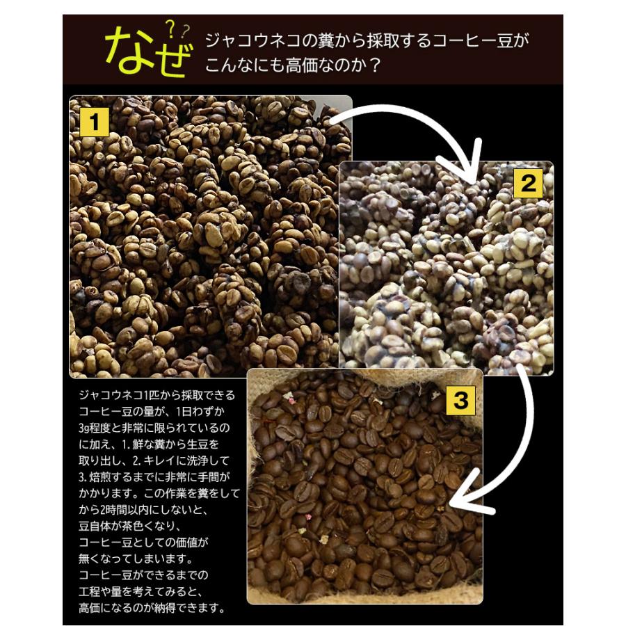 ジャコウネココーヒー 100g シベットコーヒー コピルアク 100 ジャコウネココーヒー 100g シベットコーヒー コピルアク 100