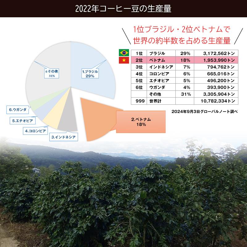 ジャコウネココーヒー 100g シベットコーヒー コピルアク 100 ジャコウネココーヒー 100g シベットコーヒー コピルアク 100