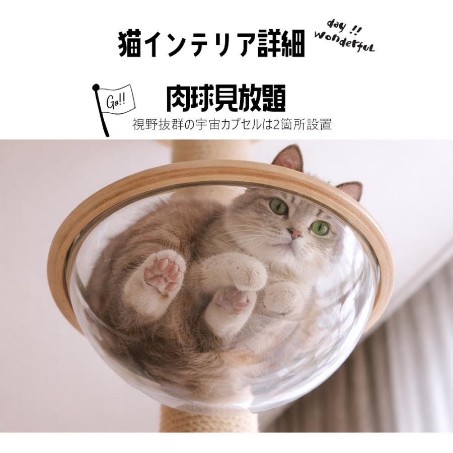 人気商品【キャットタワー】突っ張り 木製 透明カプセル付き　235~260cm キャットタワー 突っ張り スリム 木製 猫タワー 大型 極太 多頭飼い