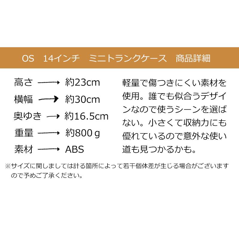 赤字覚悟の大還元SALE ミニトランク バッグ ショルダーバッグ 軽量 トランクケース ミニスーツケース 小型 ビジネス 出張 Transporter 正規品 os14【e-do】 | Transporter | 12