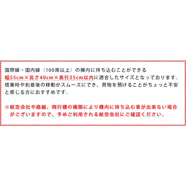 スーツケース Sサイズ 機内持ち込み 軽量 キャリーケース キャリーバッグ 旅行バッグ ビジネス 出張 Transporter 正規品 TK20 【e-do】 | Transporter | 28
