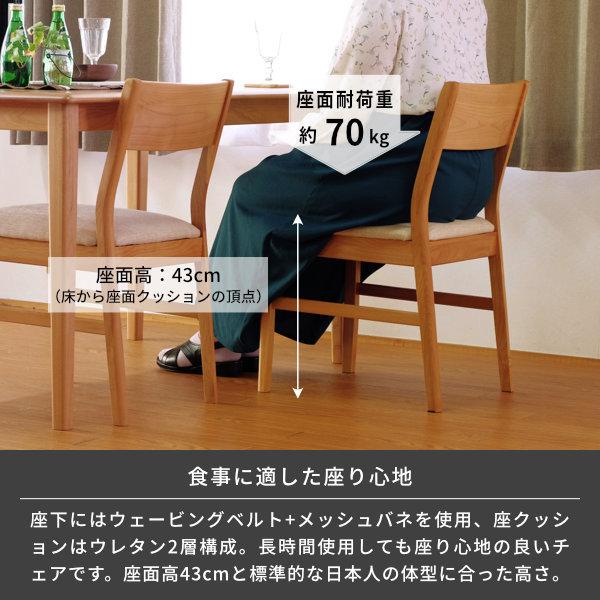 一生紀（ISSEIKI） ダイニングチェア 2脚 北欧 椅子 イス エリス 2点