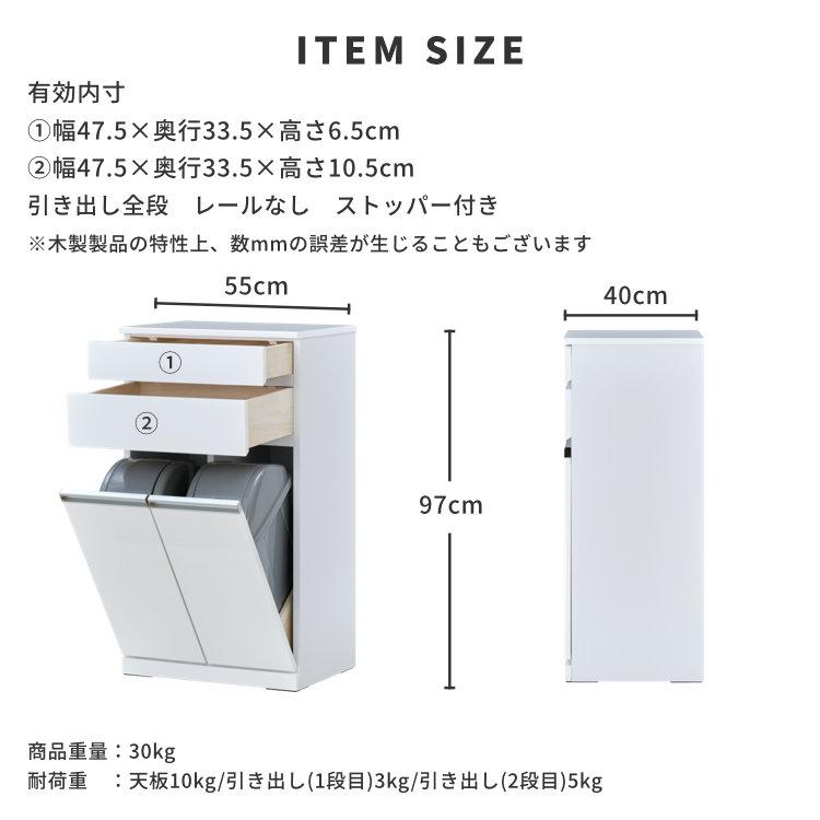 一生紀（ISSEIKI） ペールカウンター キッチン収納 ダストボックス