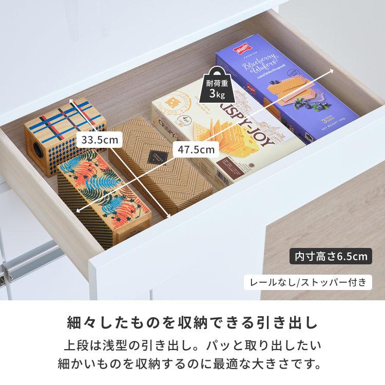 一生紀（ISSEIKI） ペールカウンター キッチン収納 ダストボックス