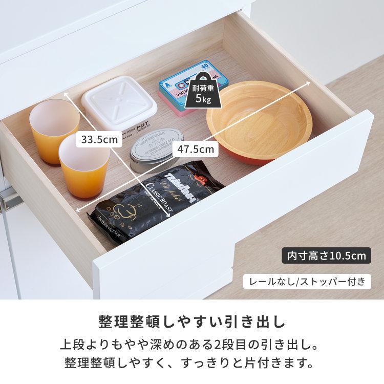 一生紀（ISSEIKI） ペールカウンター キッチン収納 ダストボックス 
