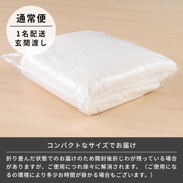 一生紀（ISSEIKI） 【アウトレット】 ラグ カーペット 洗える