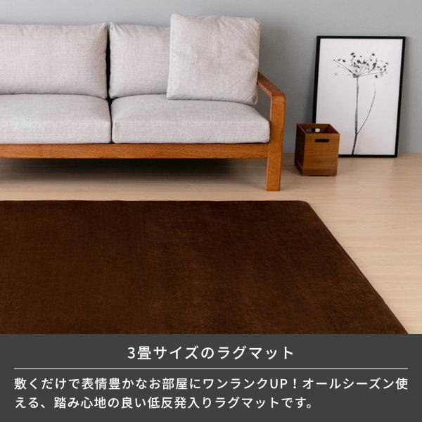 一生紀（ISSEIKI） 【アウトレット】 ラグ カーペット 洗える