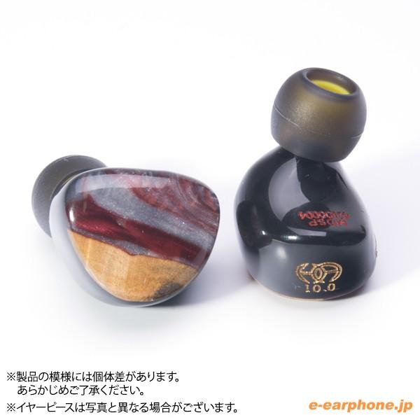 HEIR AUDIO (お取り寄せ) Heir Audio エア・オーディオ IEM 10.0 HEIR AUDIO (お取り寄せ) Heir Audio エア・オーディオ IEM 10.0