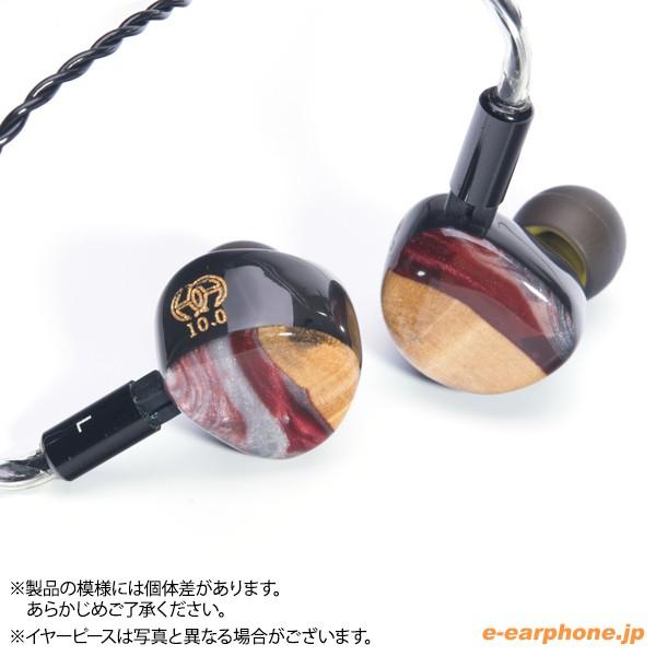 HEIR AUDIO (お取り寄せ) Heir Audio エア・オーディオ IEM 10.0 HEIR AUDIO (お取り寄せ) Heir Audio エア・オーディオ IEM 10.0
