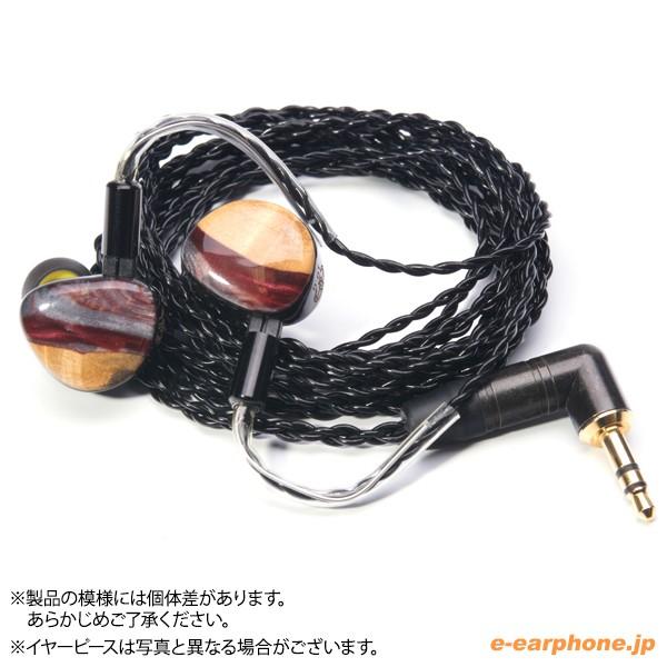 HEIR AUDIO (お取り寄せ) Heir Audio エア・オーディオ IEM 10.0 HEIR AUDIO (お取り寄せ) Heir Audio エア・オーディオ IEM 10.0